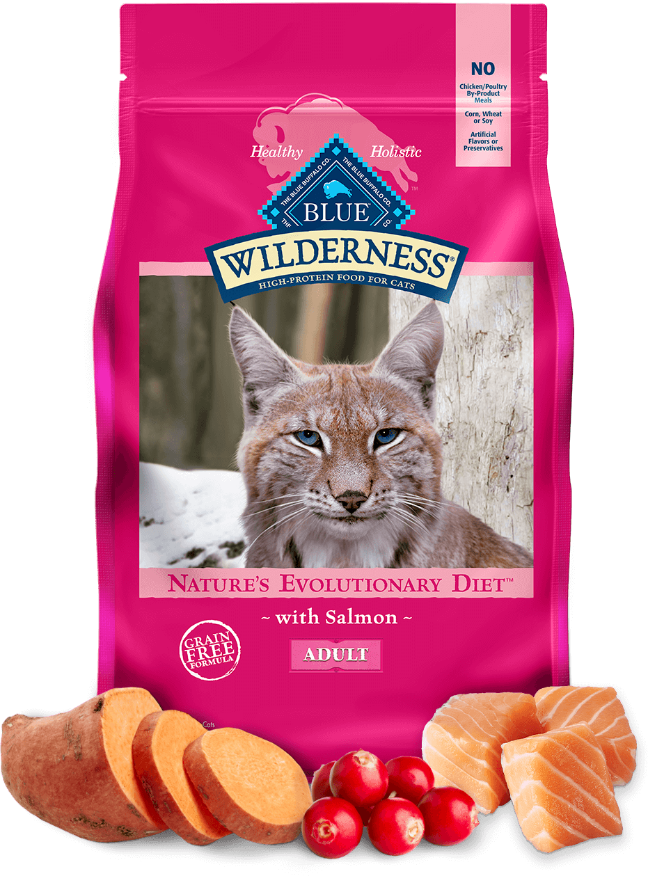 Catfooddb best dry food online